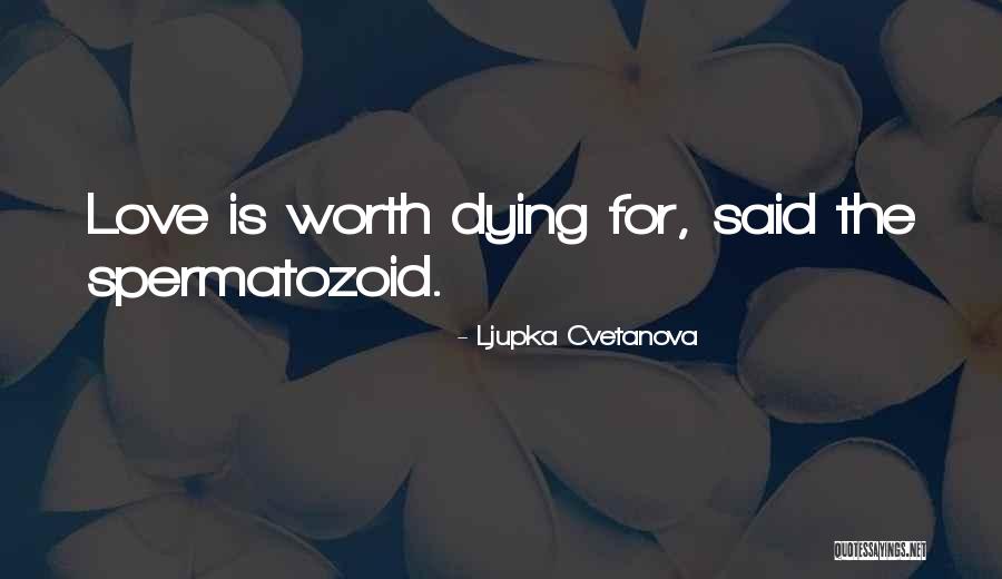 Princeling Quotes By Ljupka Cvetanova Princeling Quotes By Ljupka Cvetanova