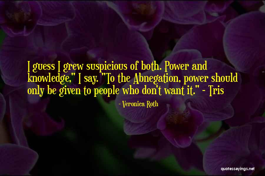 Princeling Quotes By Veronica Roth Princeling Quotes By Veronica Roth