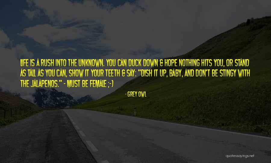 Princella Yams Quotes By Grey Owl Princella Yams Quotes By Grey Owl