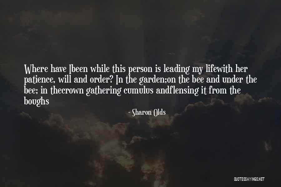 Princess Angeline Quotes By Sharon Olds Princess Angeline Quotes By Sharon Olds