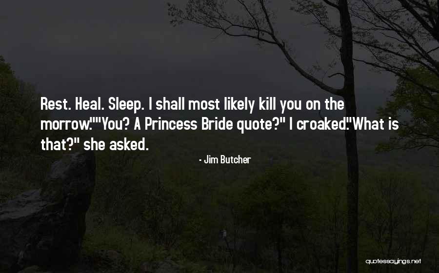 Princess Bride Humor Quotes By Jim Butcher Princess Bride Humor Quotes By Jim Butcher