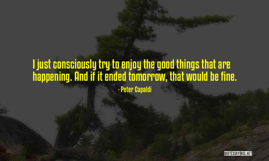 Princess Bride Peter Falk Quotes By Peter Capaldi Princess Bride Peter Falk Quotes By Peter Capaldi