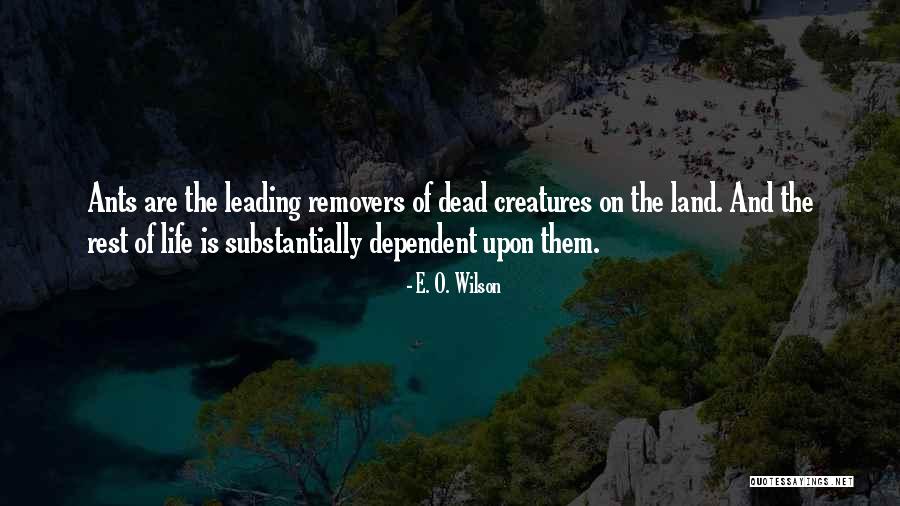 Princess Bride Pit Of Despair Quotes By E. O. Wilson Princess Bride Pit Of Despair Quotes By E. O. Wilson