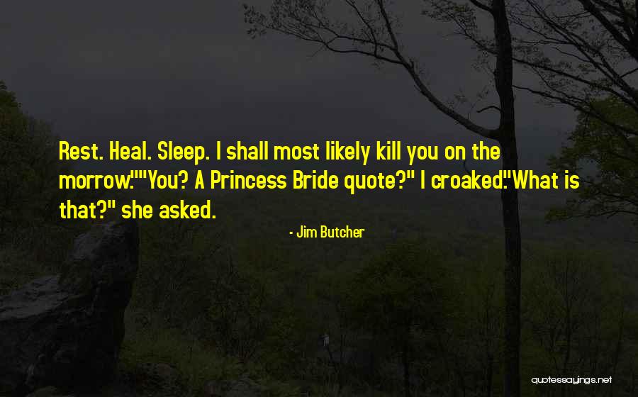 Princess Bride Quotes By Jim Butcher