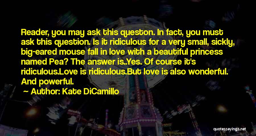 Princess Kate Quotes By Kate DiCamillo