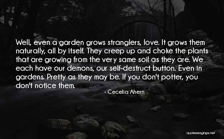 Princess Lacey Quotes By Cecelia Ahern Princess Lacey Quotes By Cecelia Ahern