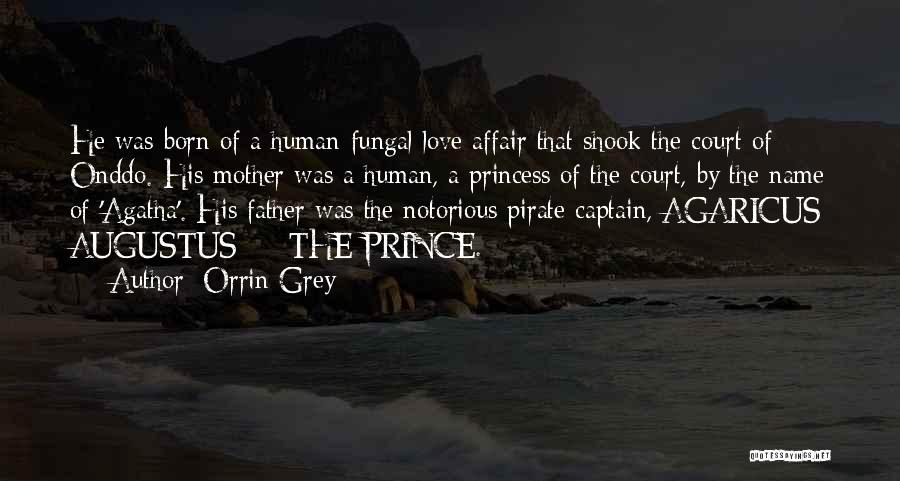 Princess Of Father Quotes By Orrin Grey