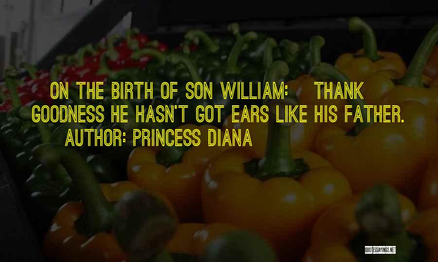 Princess Of Father Quotes By Princess Diana