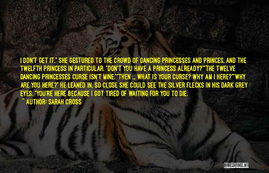 Princesses Quotes By Sarah Cross