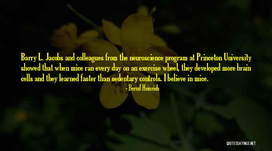 Princeton Quotes By Bernd Heinrich