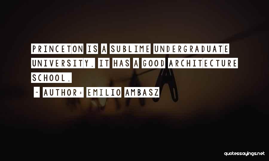 Princeton Quotes By Emilio Ambasz