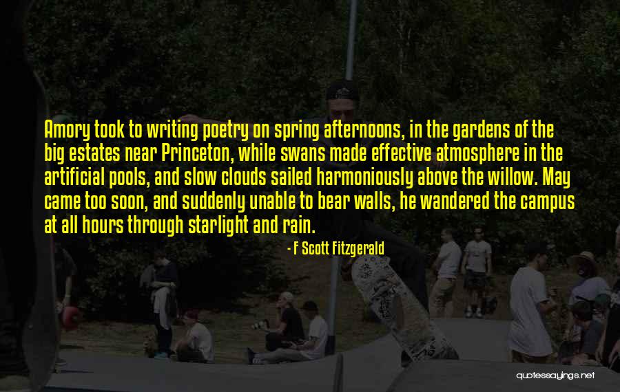 Princeton Quotes By F Scott Fitzgerald