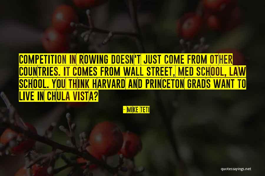 Princeton Quotes By Mike Teti