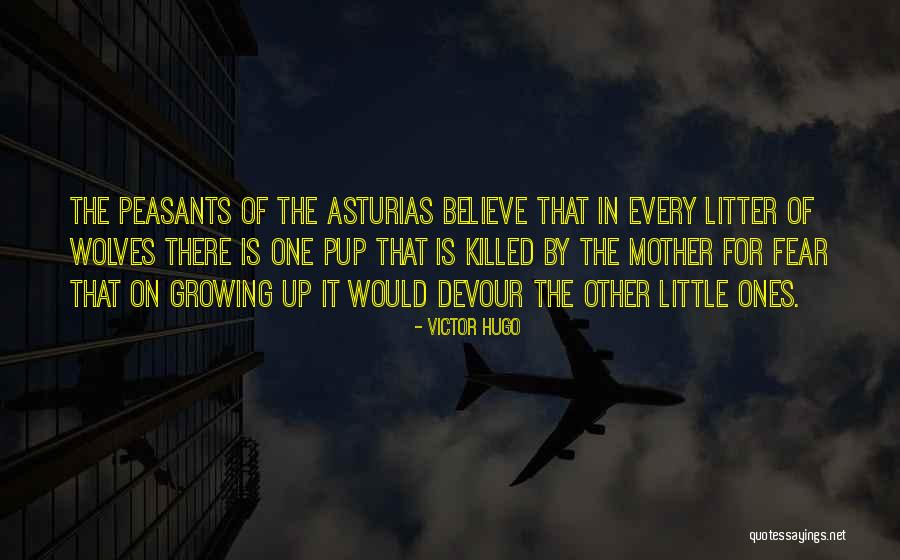 Princeza Dajana Quotes By Victor Hugo Princeza Dajana Quotes By Victor Hugo