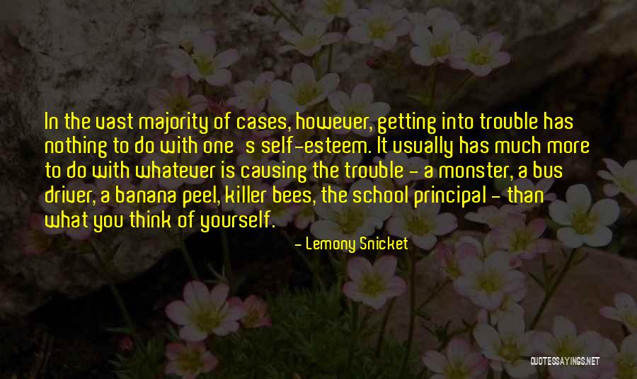 Principal Of School Quotes By Lemony Snicket