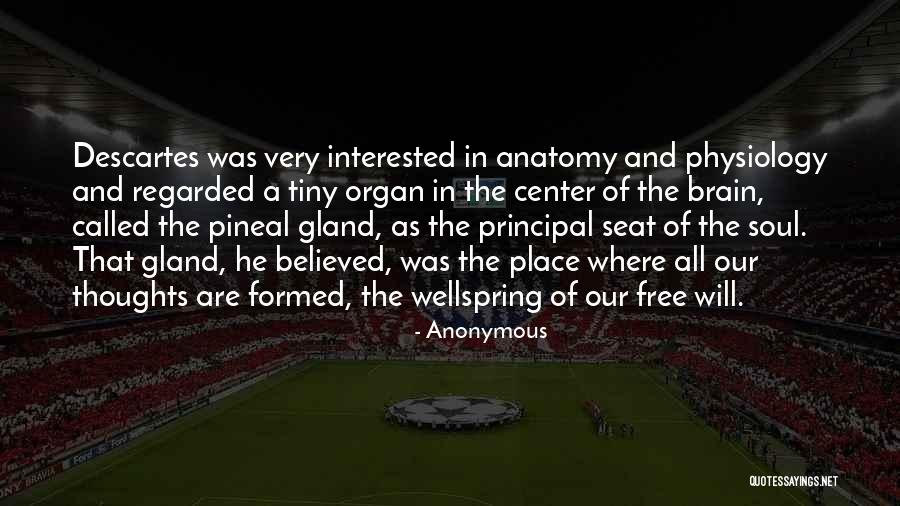Principal Quotes By Anonymous Principal Quotes By Anonymous