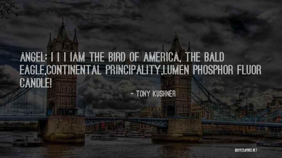 Principality Quotes By Tony Kushner Principality Quotes By Tony Kushner