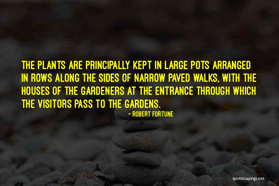 Principally Quotes By Robert Fortune Principally Quotes By Robert Fortune