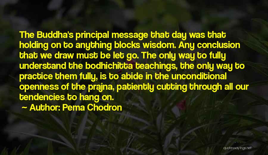 Principal's Day Quotes By Pema Chodron