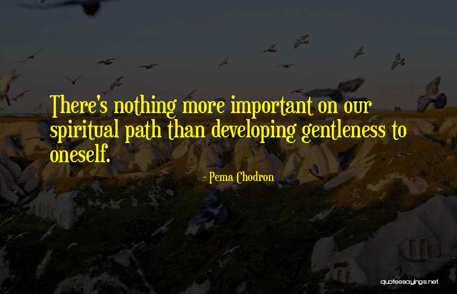 Principato Di Quotes By Pema Chodron Principato Di Quotes By Pema Chodron