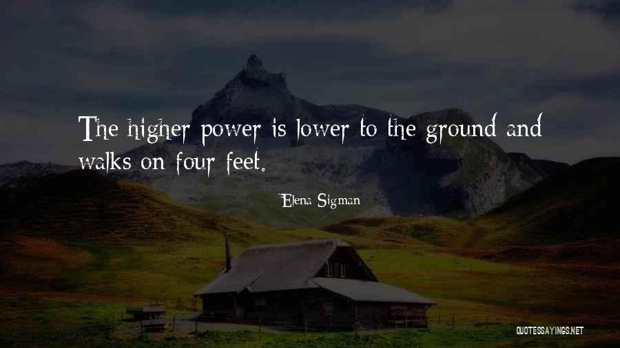 Principiile Managementului Quotes By Elena Sigman Principiile Managementului Quotes By Elena Sigman
