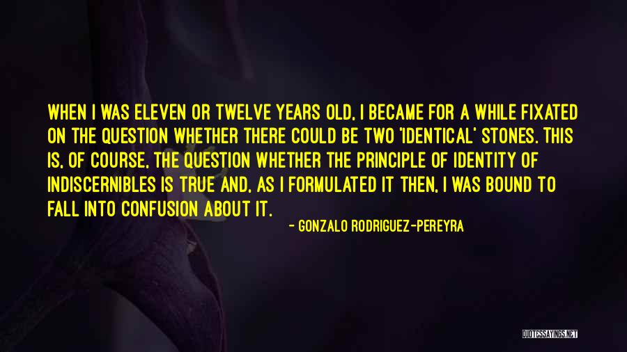 Principle Is Not Bound Quotes By Gonzalo Rodriguez-Pereyra Principle Is Not Bound Quotes By Gonzalo Rodriguez-Pereyra