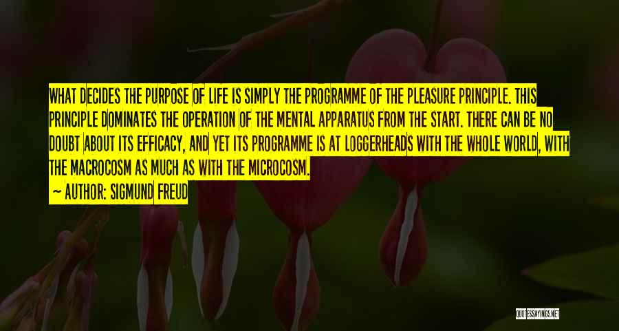 Principle Of Life Quotes By Sigmund Freud