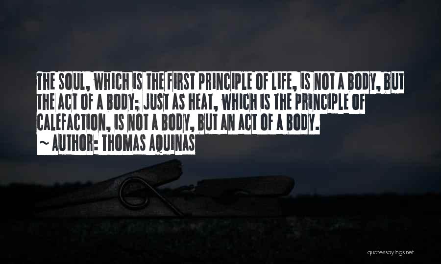 Principle Of Life Quotes By Thomas Aquinas