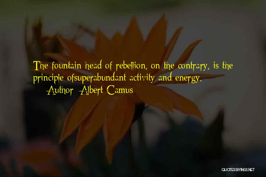 Principle Quotes By Albert Camus