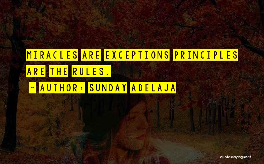 Principle Quotes By Sunday Adelaja