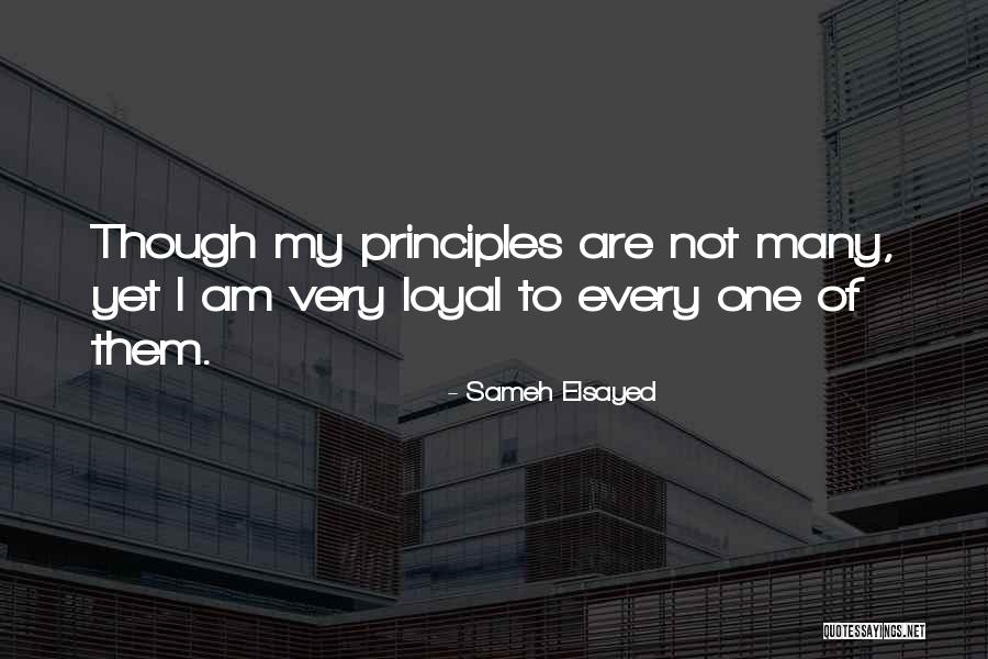 Principles And Values Quotes By Sameh Elsayed