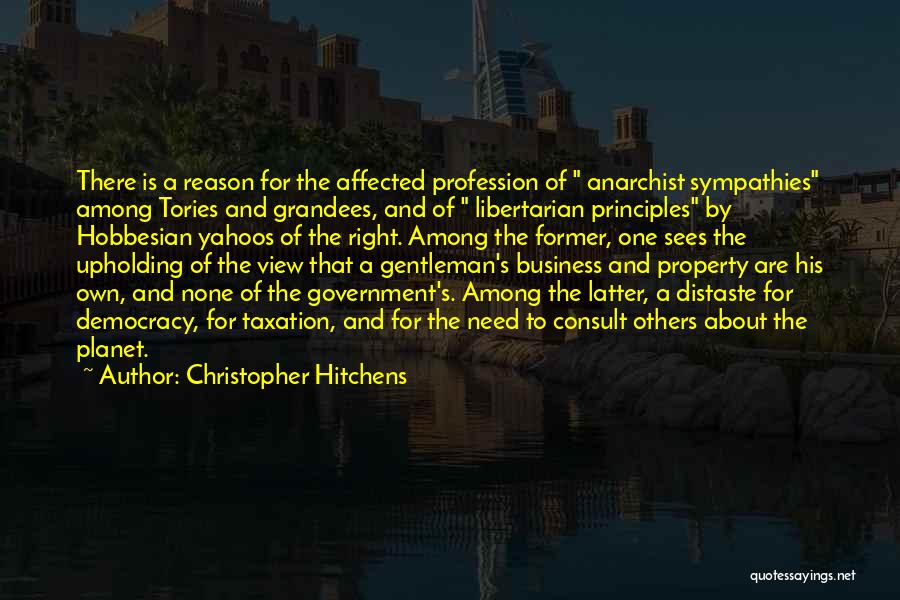 Principles Of Democracy Quotes By Christopher Hitchens