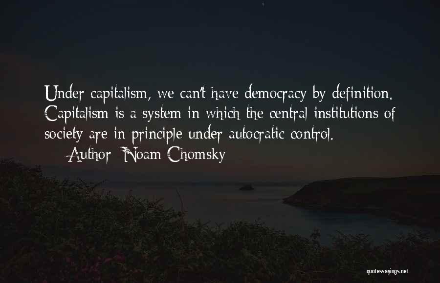 Principles Of Democracy Quotes By Noam Chomsky