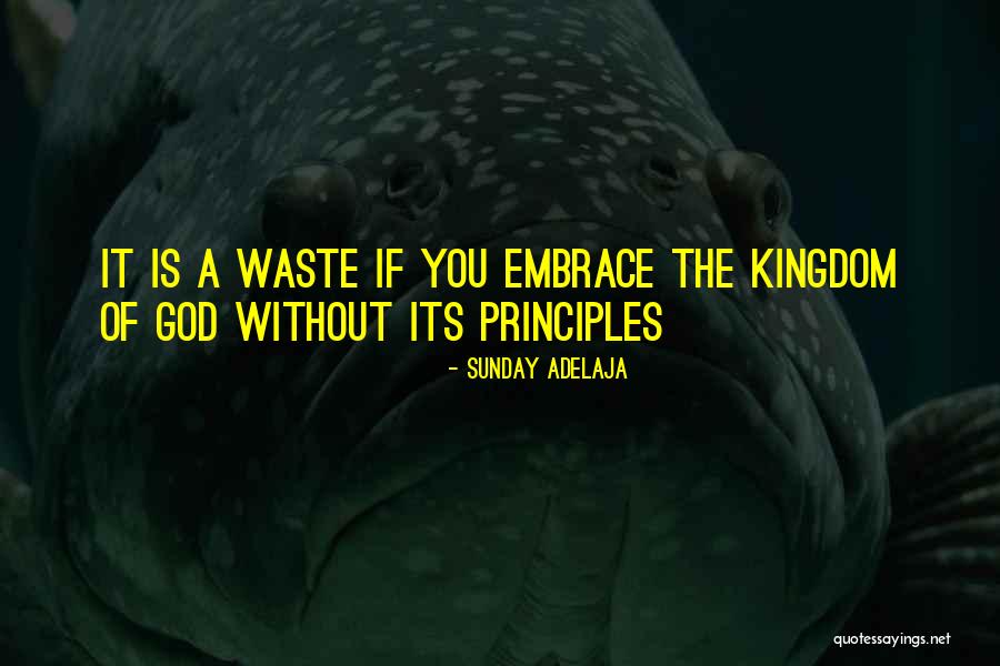 Principles Of God Quotes By Sunday Adelaja Principles Of God Quotes By Sunday Adelaja