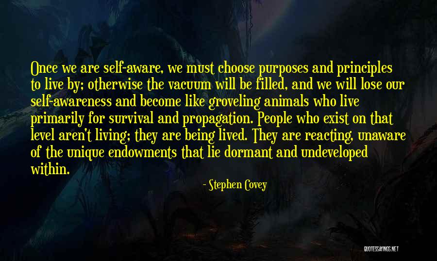 Principles To Live By Quotes By Stephen Covey Principles To Live By Quotes By Stephen Covey