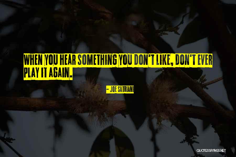 Prinoth Mulcher Quotes By Joe Satriani Prinoth Mulcher Quotes By Joe Satriani