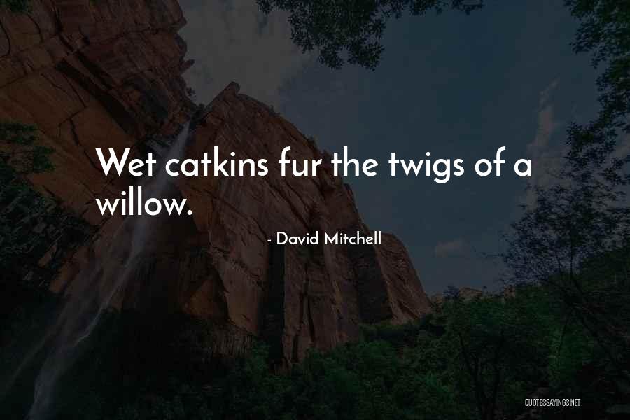 Print Journalism Quotes By David Mitchell Print Journalism Quotes By David Mitchell