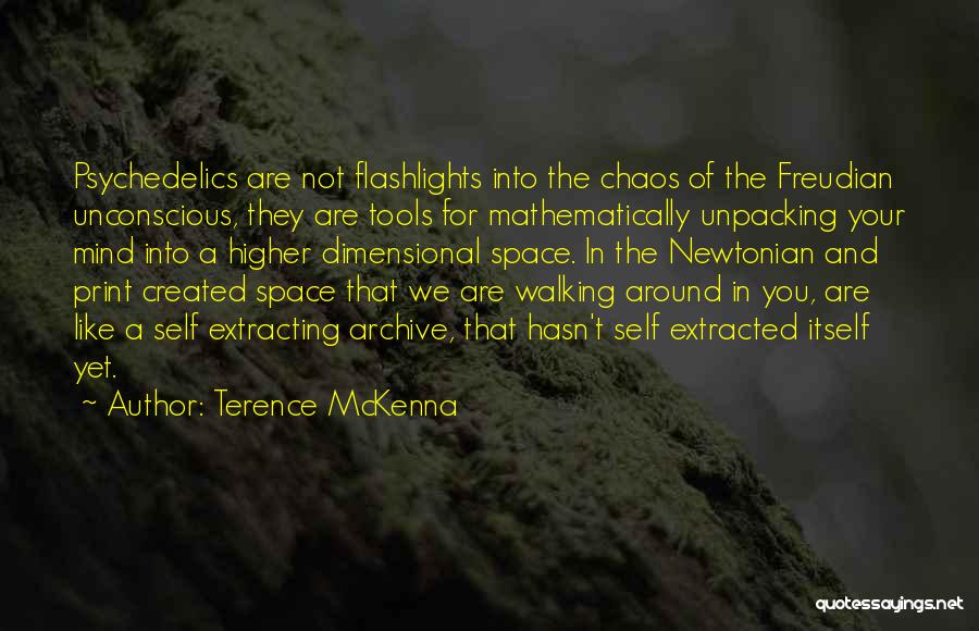 Print Quotes By Terence McKenna