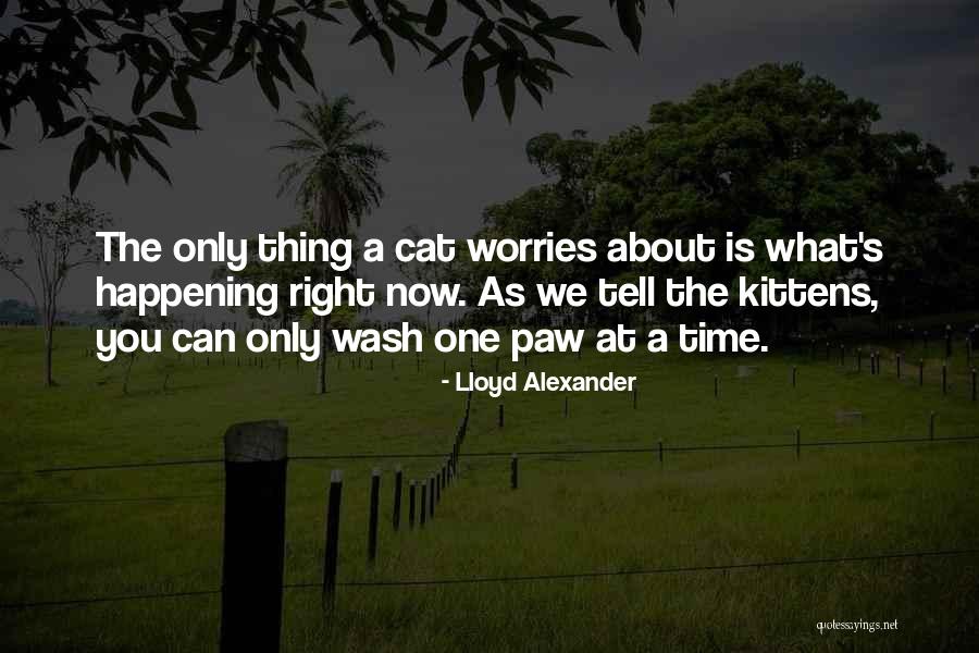 Priorities Right Quotes By Lloyd Alexander Priorities Right Quotes By Lloyd Alexander