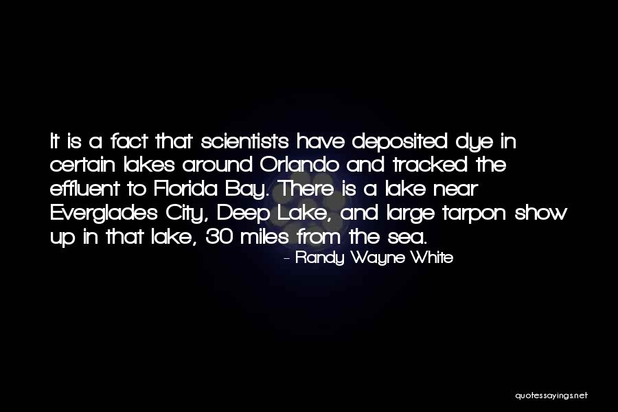 Prioritize Quotes Quotes By Randy Wayne White Prioritize Quotes Quotes By Randy Wayne White