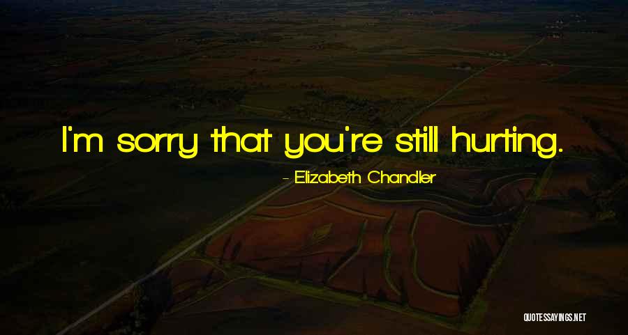 Priprema Sarme Quotes By Elizabeth Chandler Priprema Sarme Quotes By Elizabeth Chandler