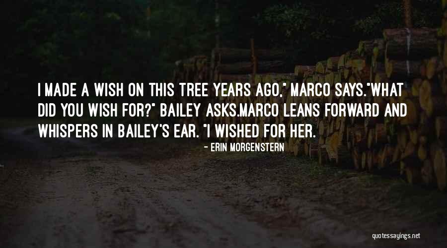 Prirucnik Access Quotes By Erin Morgenstern