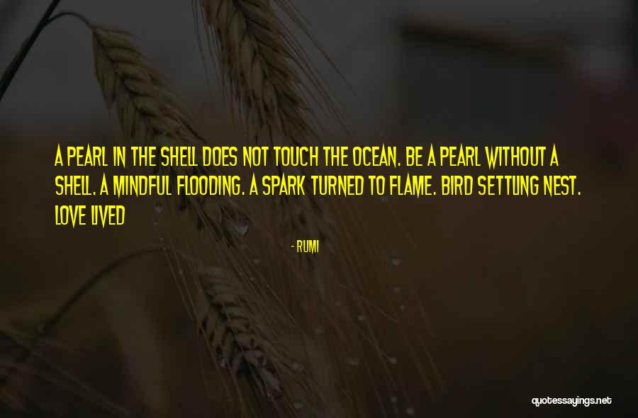Priscille Eyongetah Quotes By Rumi Priscille Eyongetah Quotes By Rumi