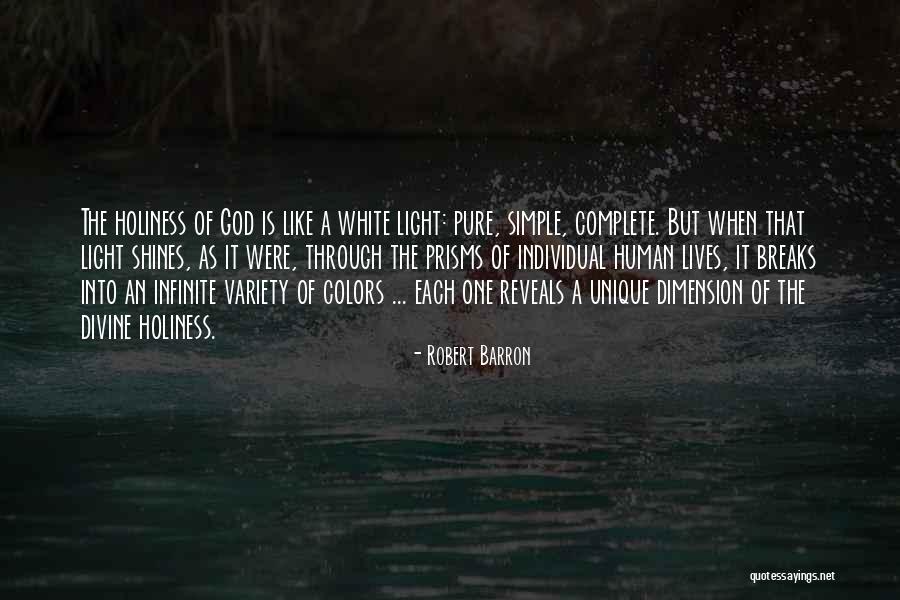 Prisms Of Light Quotes By Robert Barron