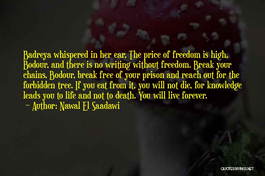 Prison Break Quotes By Nawal El Saadawi