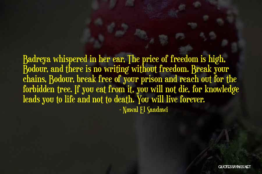 Prison Break Quotes By Nawal El Saadawi