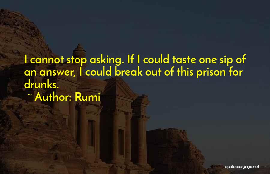 Prison Break Quotes By Rumi