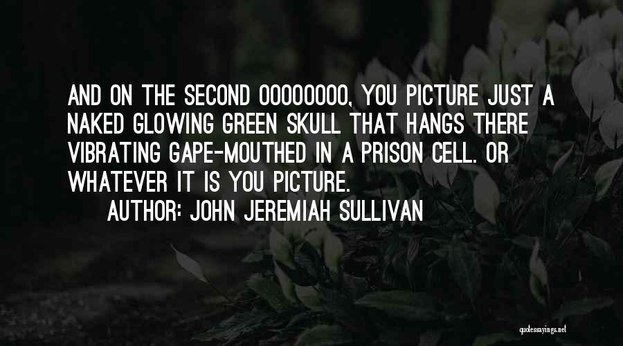 Prison Cell Quotes By John Jeremiah Sullivan