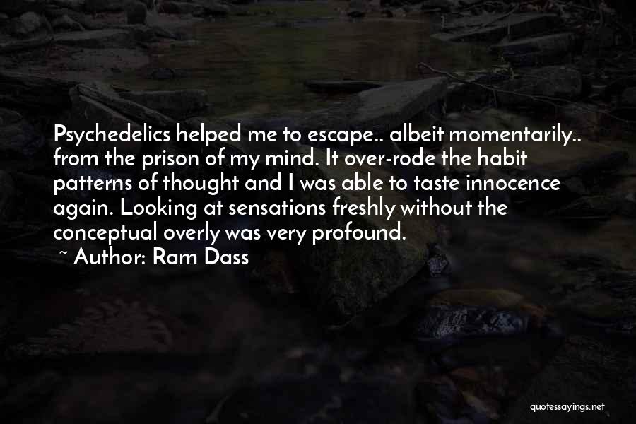 Prison Escape Quotes By Ram Dass