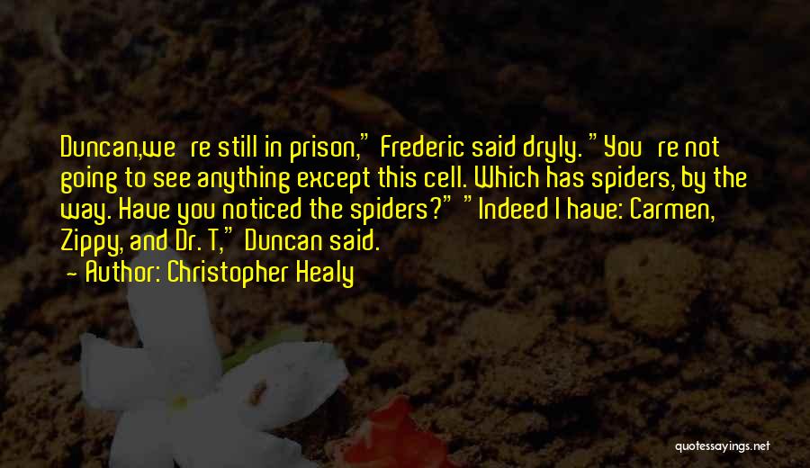 Prison Humor Quotes By Christopher Healy